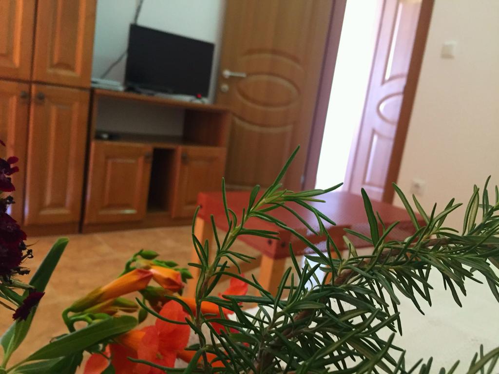 Friendly House Apartment Ulcinj Exterior photo
